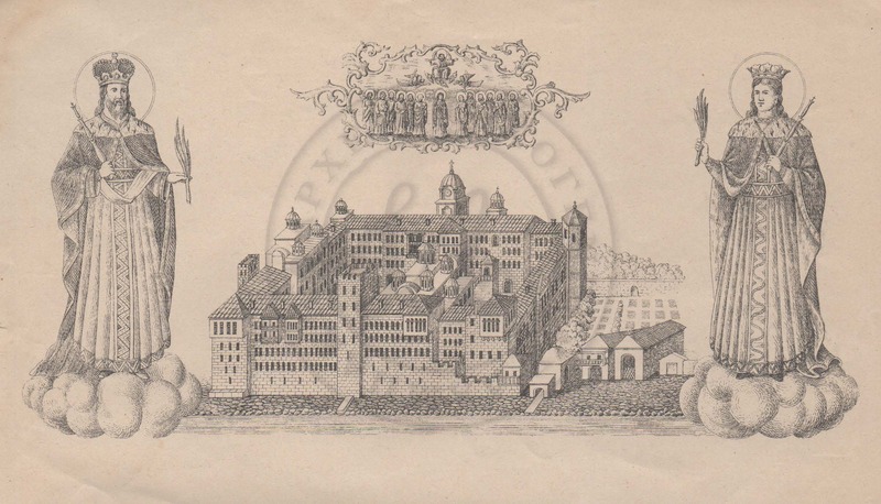 Col-0000-131.jpg Col-0000-131.jpg