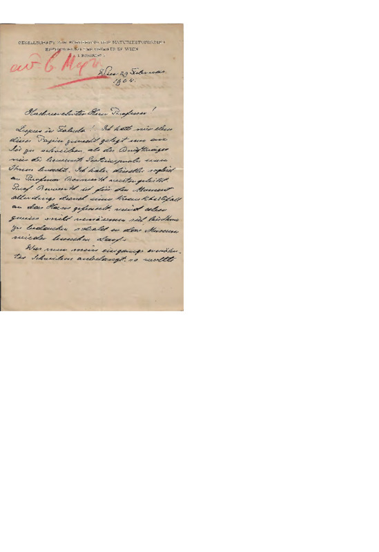 LinGE-19040229-01-w.pdf