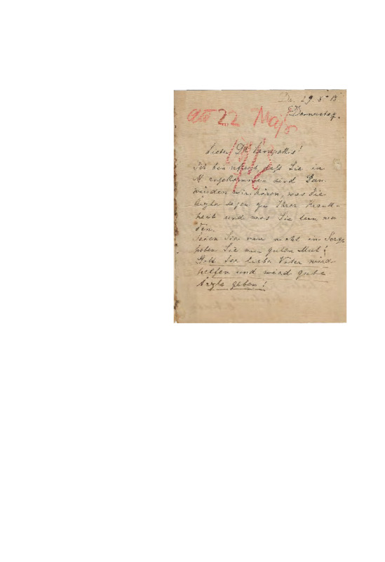 LinGE-19130529-01-w.pdf