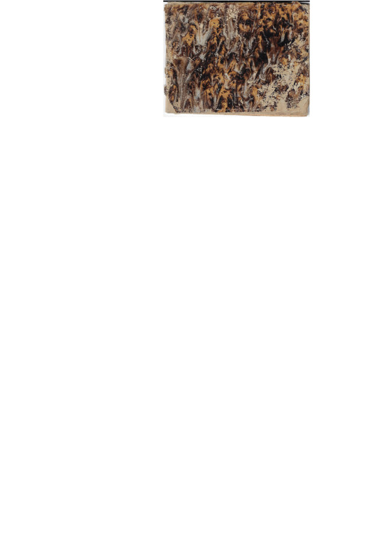 MA-187209-001-wo.pdf