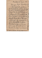 LinFa-19210723-01-wo.pdf